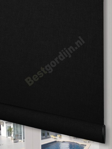 Rolgordijn transparante lotus 11210-2